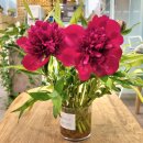 경희 행복나무 한의원 이미지