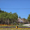 동해세차장 | 동해 가성비 세차 맛집! 초록봉주유소 자동세차 후기 (브러쉬 교체로 반짝반짝)
