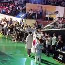 한라태권도체육관 이미지