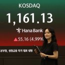 역대급 불장서 소외됐던 코스닥 …'국민펀드' 기대로 급등 이미지