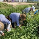 용인시기흥구치매안심센터 이미지
