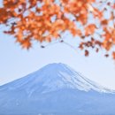 해인빌딩 이미지