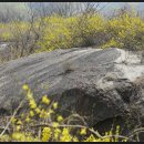 응봉산 팔각정 이미지