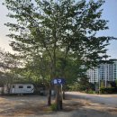 백운목장 | [24.05.09.] 의왕 백운호수 맛집, 선일목장 정육식당 방문 후기!!