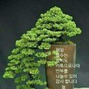 행복의료기 이미지