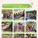 꿈샘유치원 이미지