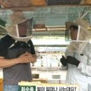벌꿀농장 네이버블로그