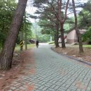 영남알프스 신불산자연휴양림-영축산-신불재-신불산-간월재-간월산-원점회귀 (1일 3개산 등반)