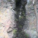 선학정 Daum카페