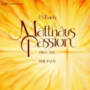 마태우리 | 콜레기움 보칼레/무지쿰 서울'의 2026년 바흐 <마태수난곡> 공연 후기