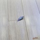 점프사 이미지