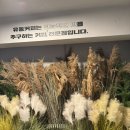 유동커피부산 이미지