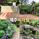 비자림H | 제주 구좌 가볼만한곳 제주도 비자림 숲 입장료 소요시간