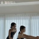 필라테스솔 - 안동시 옥서1길 81 | 필라테스솔
