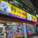 펫츠랑