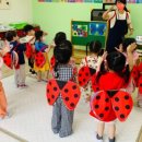 예초유치원 이미지