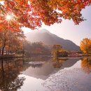 농업회사법인(주) 손맛
