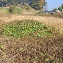 소태면사무소 이미지