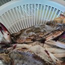 GS 더프레시 선유도역점 이미지