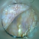 훈동물병원 이미지