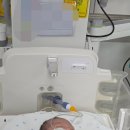 모자의료 진료협력 시범사업 후기, NICU전원 때 도움받았어요