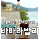 바바라 발리 네이버블로그