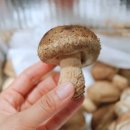 (주)이레팜 이미지