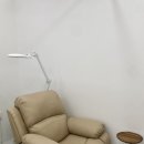 동강대자연 이미지