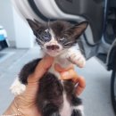 남해군남면보건지소 이미지