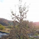 부운농장 이미지