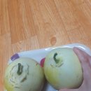 텃밭마트 이미지