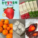 [논산딸기축제] 논산딸기, 세계를 잇다 2025논산딸기축제 솔직 후기!!