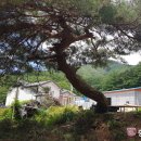 용부원2리 이미지