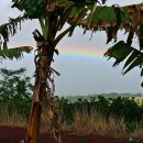 선명농장 이미지