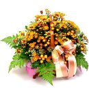 남서울공인중개사사무소 이미지