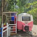 편백숲,쉼 이미지