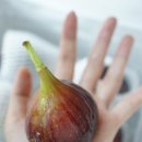 청솔축산 이미지