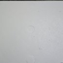 초곡한우가