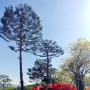 렉스골프연습장 이미지