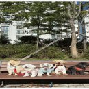 댕댕월드 | 양산애견유치원 댕댕월드 석산점 ― 반려견의 재능을 발견하다