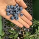 평화지역아동센터 이미지