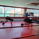 탑비트복싱클럽 이미지