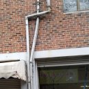 진안도야지 이미지