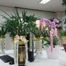 (주)한아글로벌 이미지