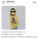 1729 | (1729) 의정부고양이분양 후기 (feat.멍냥스타)