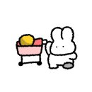 스타뽑기샵 이미지