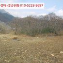 태서건축