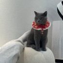 한마음공원(곰솔곶화장실)(한마음병원서쪽) | W1. (식장) 창원 GL웨딩컨벤션 계약 후기 ₍ᐢ..ᐢ₎⊹