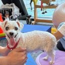 경인동물의료센터 이미지