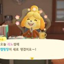 수리포장